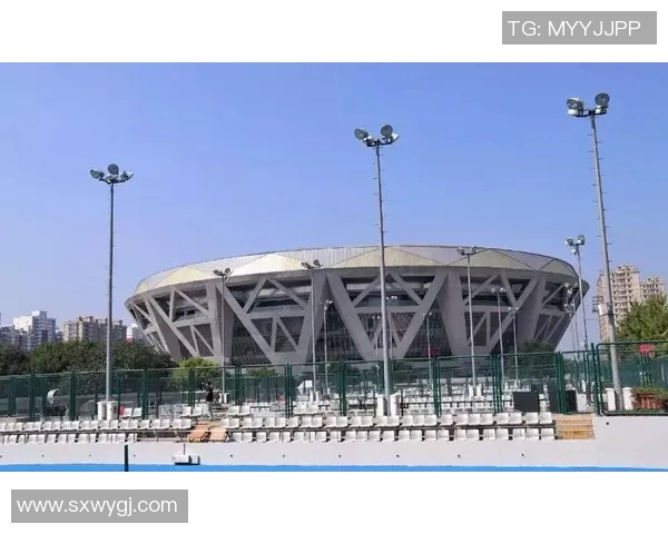 重庆网球队的蜕变之旅：从地方小队到奥运舞台的奋斗历程