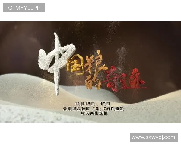 重庆足球队的奋斗历程与冠军赛背后的故事揭秘